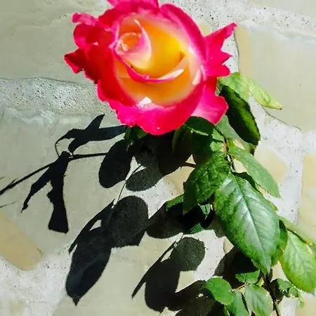 Dom wakacyjny Rose House Nydri (Lefkada)