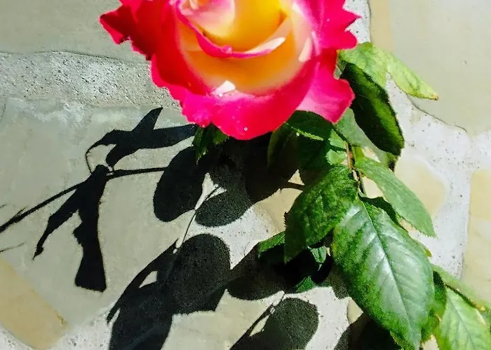 Сasa de vacaciones Rose House Nydri (Lefkada)